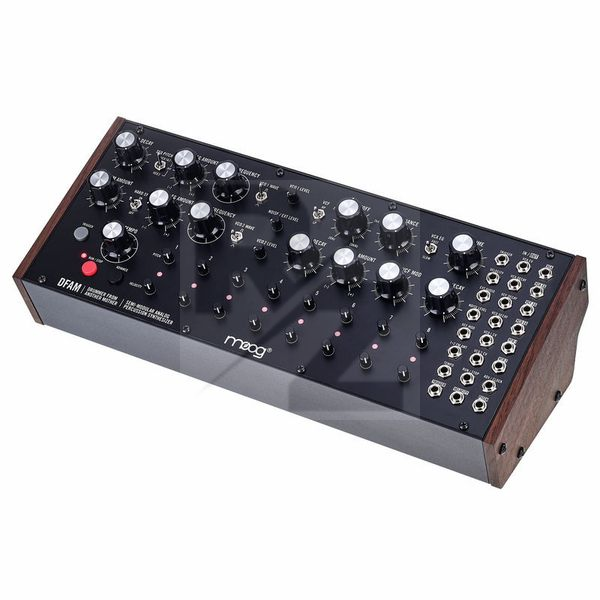 Image Moog DFAM