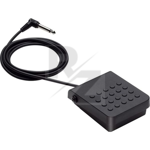 Image Casio SP-3 Sustain Pedal