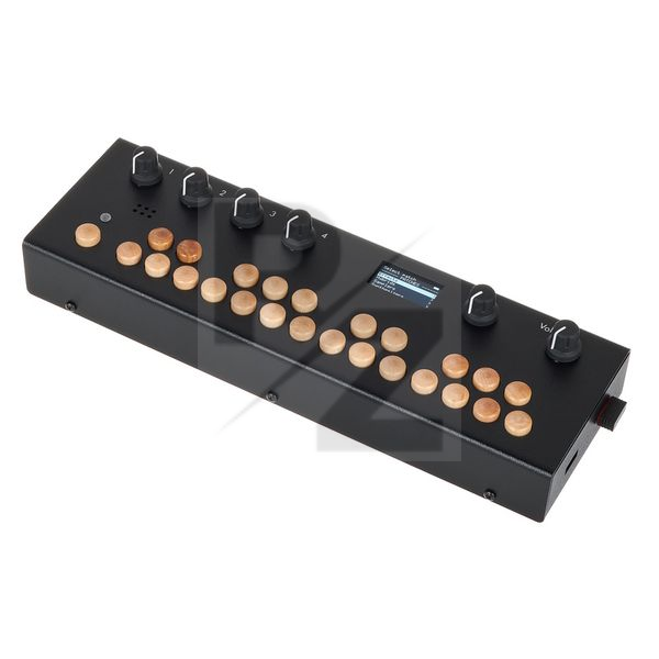 Image Critter & Guitari Organelle S