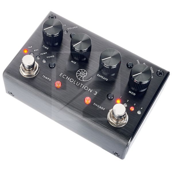 Image Pigtronix Echolution 3