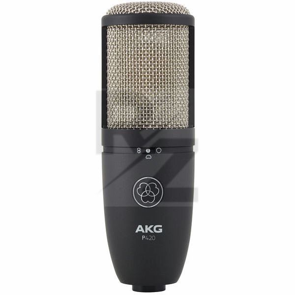 Image AKG P420