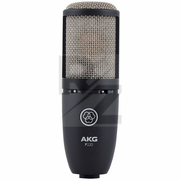 Image AKG P220