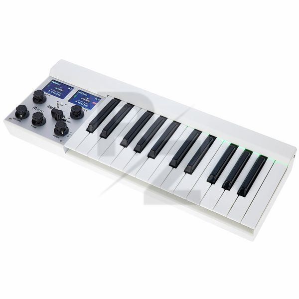 Image Mellotron Micro