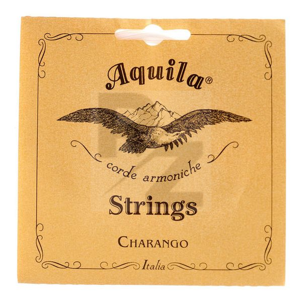 Image Aquila 2CH Nylgut Series