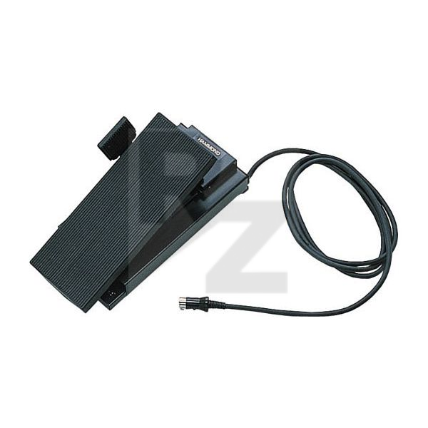 Image Hammond EXP100F