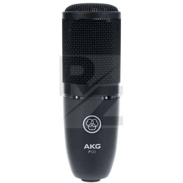 Image AKG P120
