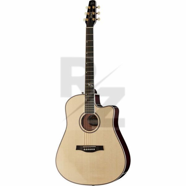 Image Seagull Artist Mosaic CW HG EQ