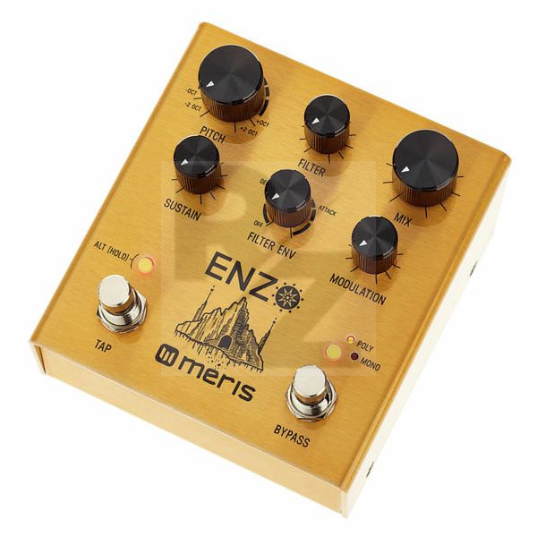 Image Meris Enzo Multi-Voice Synthesizer