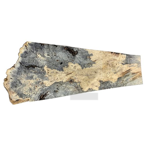 Image Fodera Monarch Custom 6 Buckeye