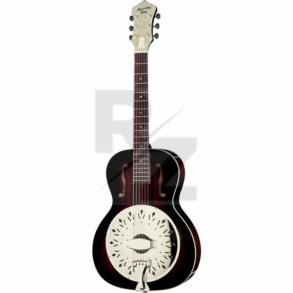 Image Recording King RR-41-VS Resonator Rattlesnake