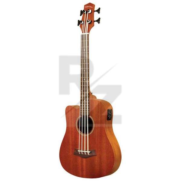 Image Gold Tone Micro Bass 23 w/Bag LH