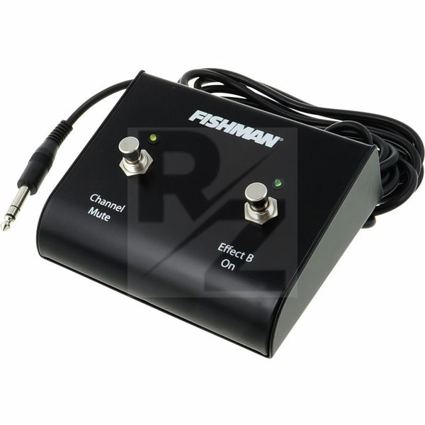 Image Fishman Dual Foot Switch