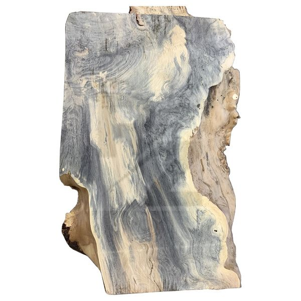 Image Fodera Emperor Elite II Buckeye