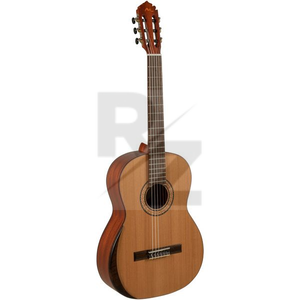 Image Manuel Rodriguez T-65