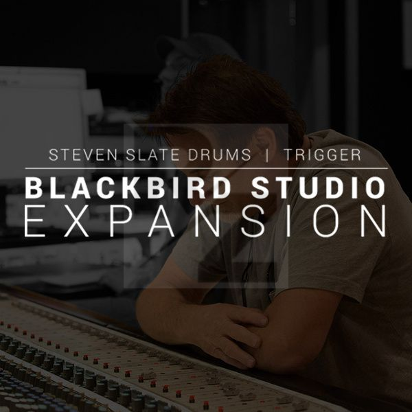 Image Steven Slate Audio Blackbird Studio SSD5 Exp.