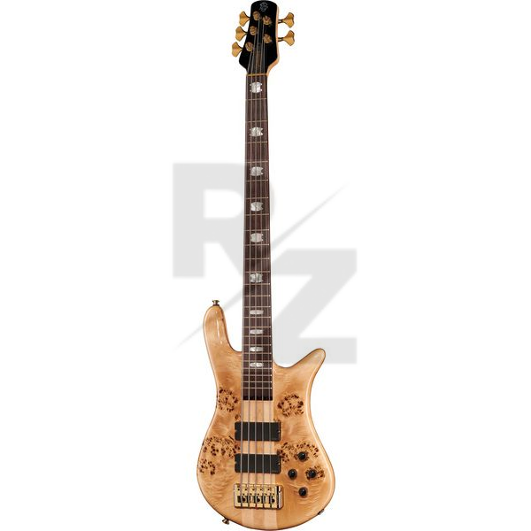 Image Spector Euro LX 5 PBG