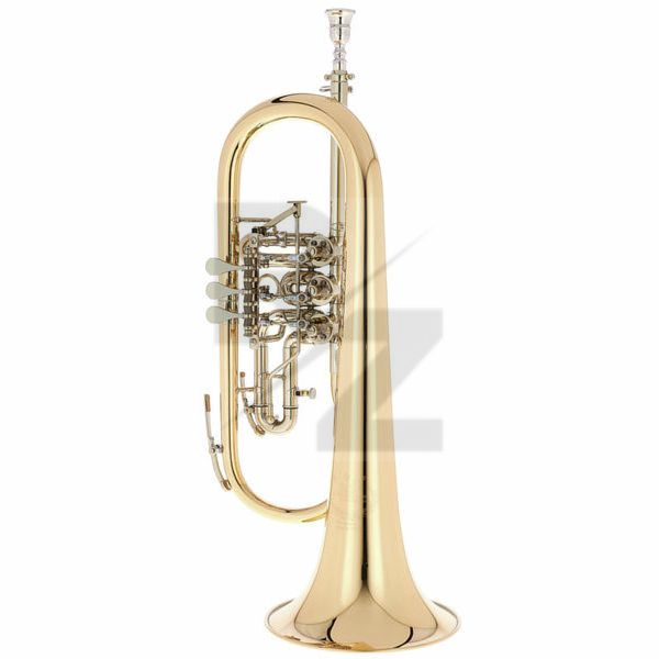 Image B&S 3017/2TR-L Bb Flugelhorn