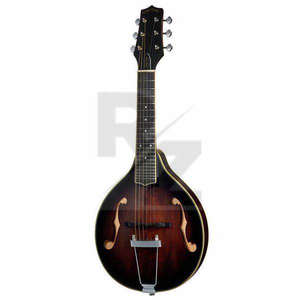 Image Gold Tone A-6 Tabacco Sunburst