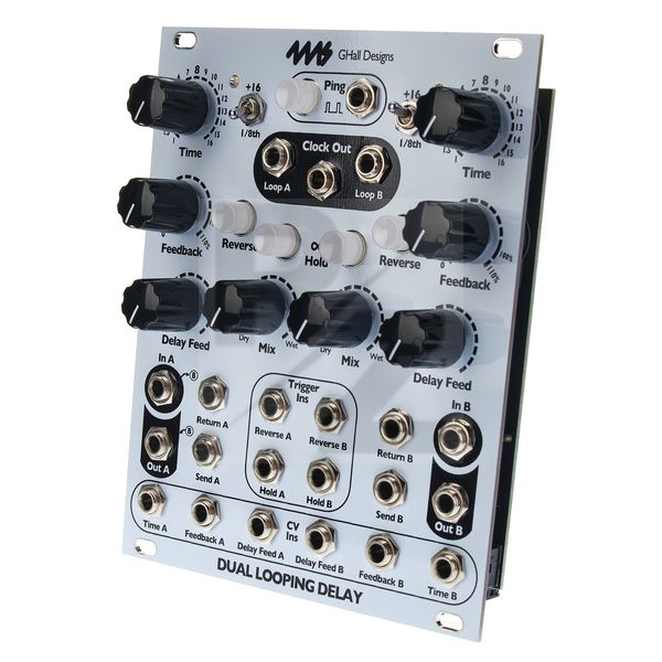 Image 4ms Dual Looping Delay