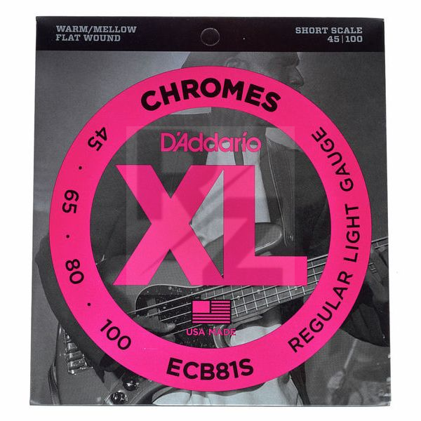 Image Daddario ECB81S