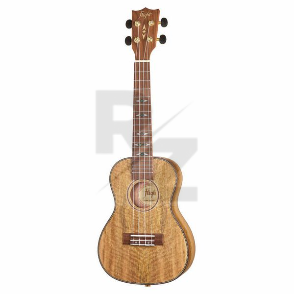 Image Flight DUC450 Mango Concert