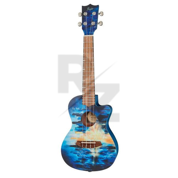 Image Flight Elise Ecklund Auc City Concert