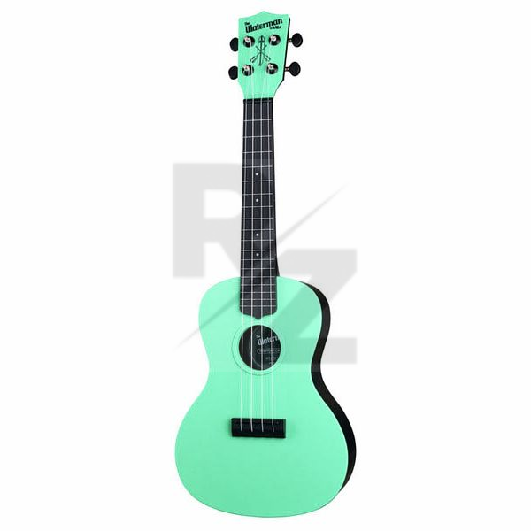 Image Kala Waterman Concert Green