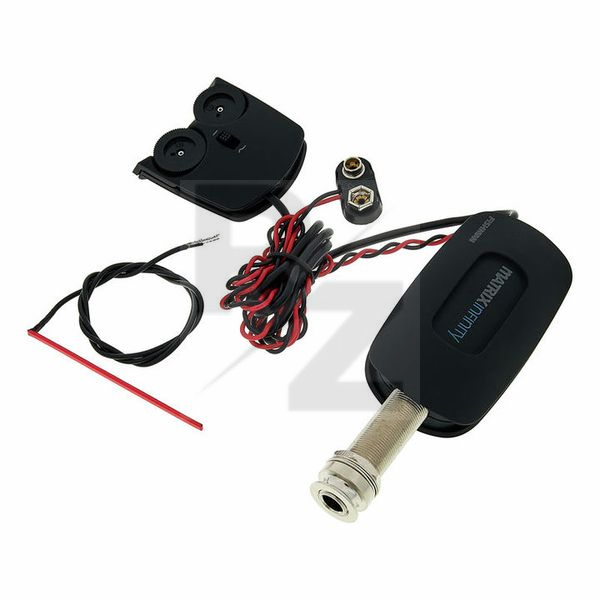 Image Fishman Matrix Infinity VT Narrow