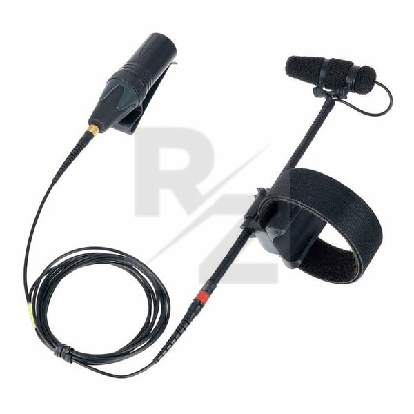 Image DPA 4099 Core Universal