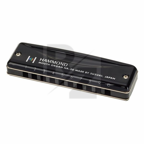 Image Suzuki HA-20 Hammond G