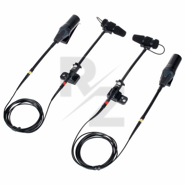 Image DPA 4099 Core Accordion