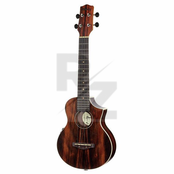 Image Ibanez UEW13MEE-DBO