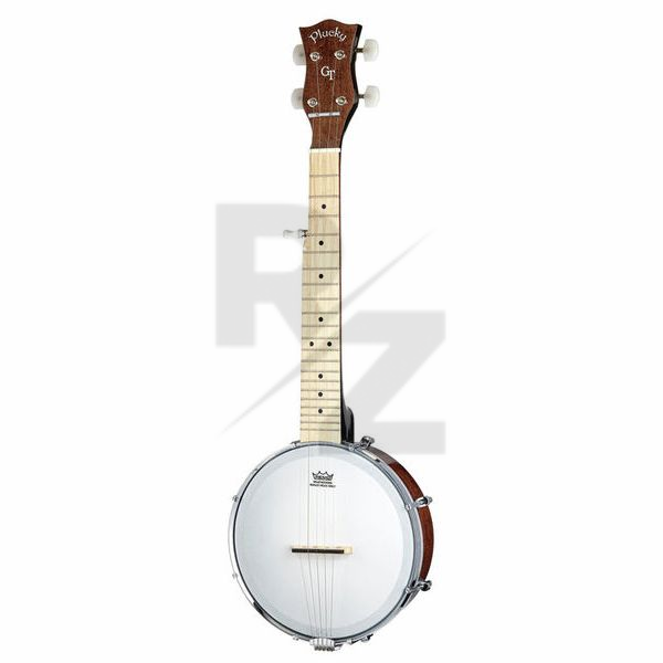 Image Gold Tone Plucky