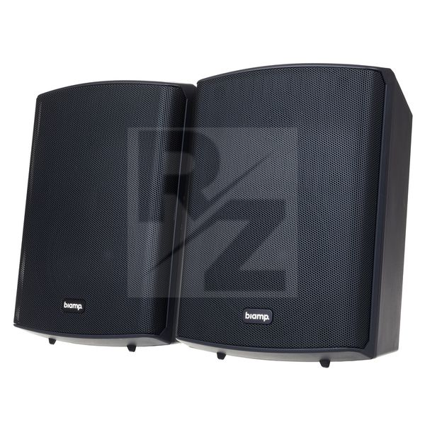 Image Biamp Systems SDQ5P Black