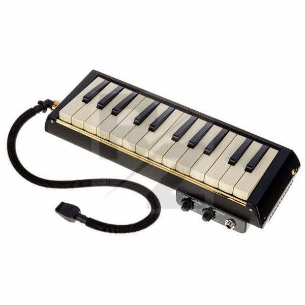 Image Hammond Melodion Bass PRO-24B