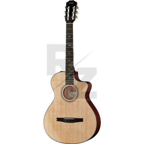 Image Taylor 312ce-N Nylon