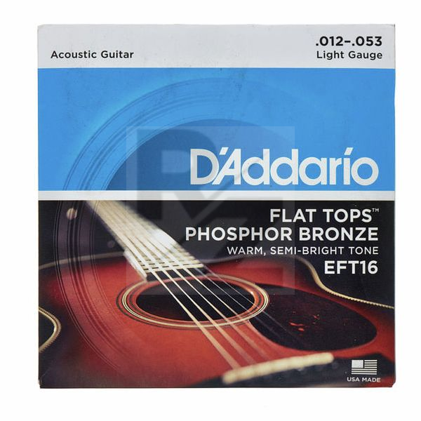 Image Daddario EFT16