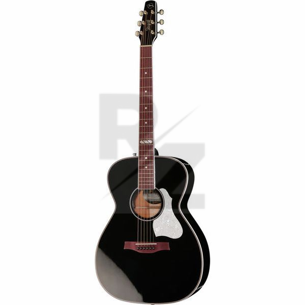 Image Seagull Artist Tuxedo Black Anthem EQ