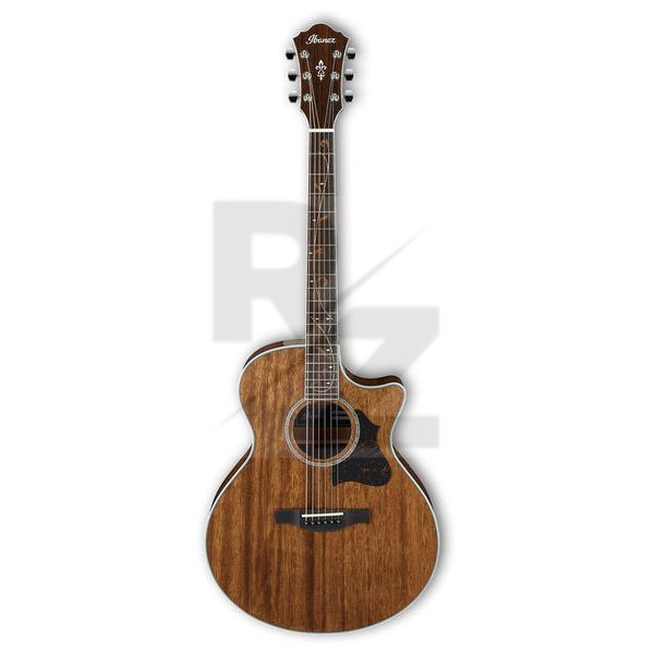 Image Ibanez AE245-NT