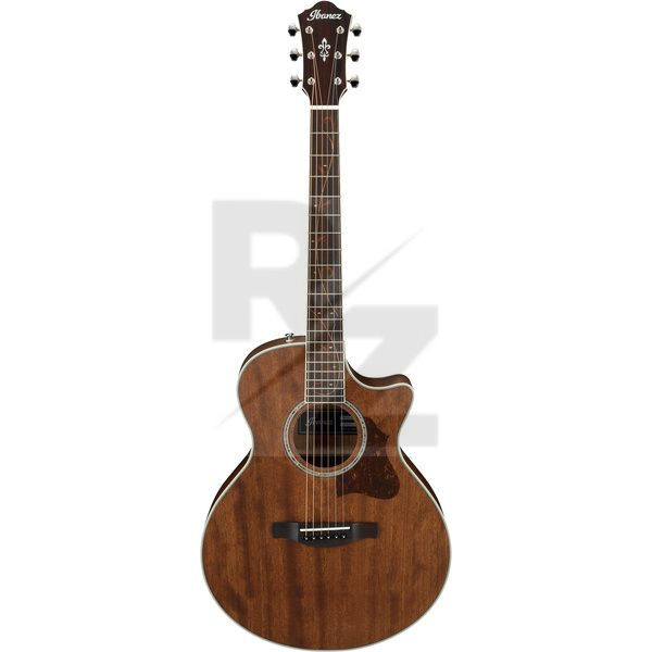 Image Ibanez AE245JR-OPN