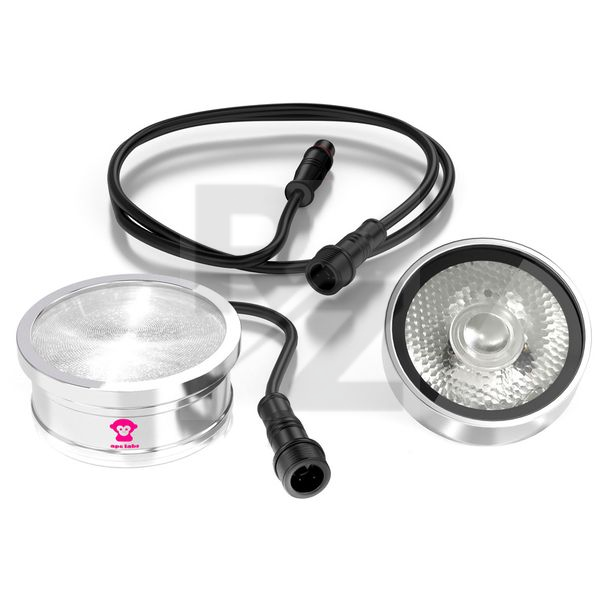 Image Ape Labs ApeCoin V2 Single IP