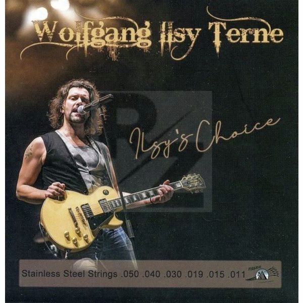 Image Pyramid Wolfgang Ilsy Terne Signature