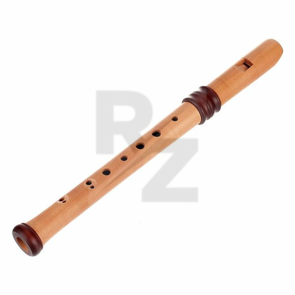 Image Mollenhauer 4119 Adris Dream Recorder