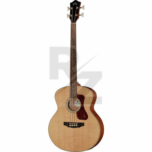 Image Guild B-240EF Acoustic Bass