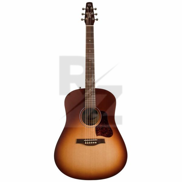 Image Seagull Entourage Autumn Burst