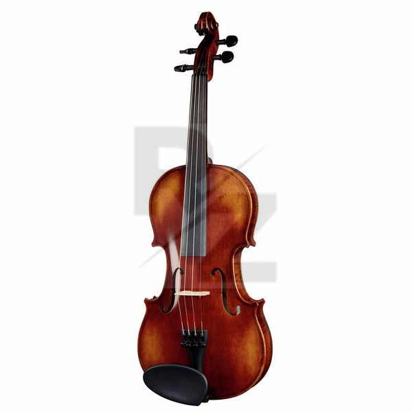 Image Franz Sandner Black Lady Violin 4/4
