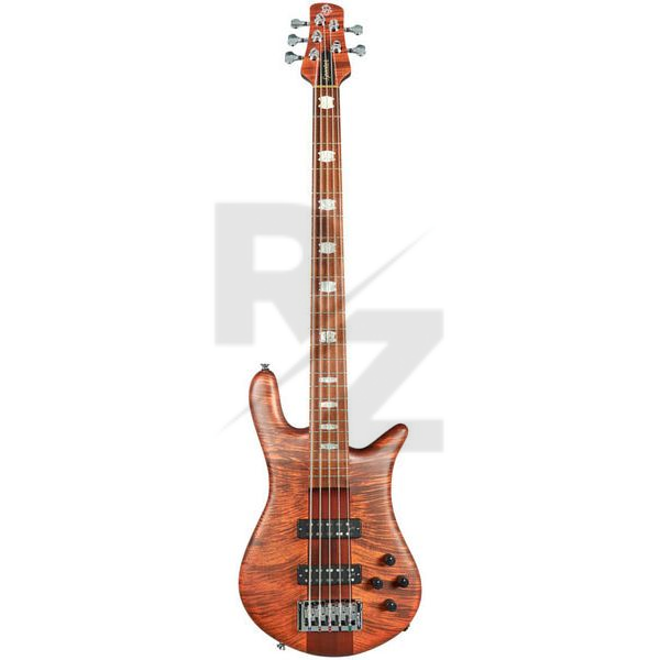 Image Spector Euro 5 RST LTD Sienna Stain