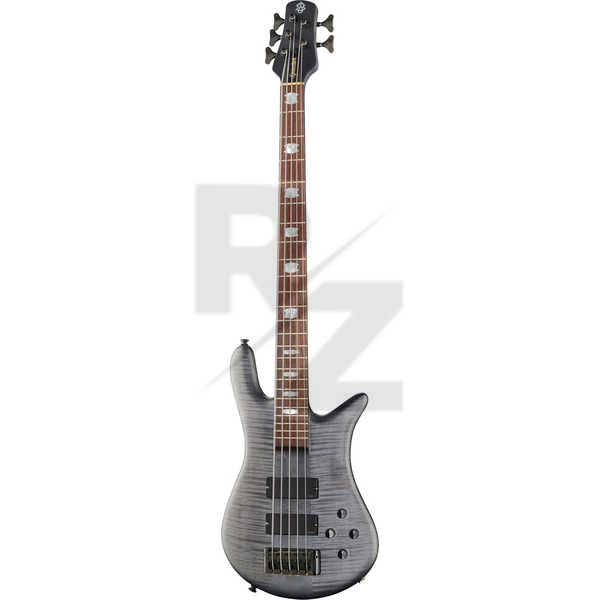 Image Spector Euro LX 5 BSM