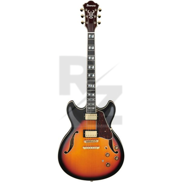 Image Ibanez AS113-BS