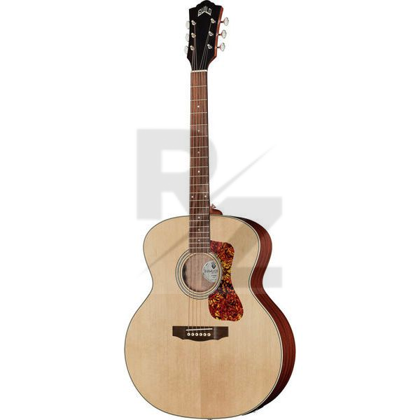Image Guild F-240E